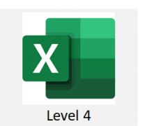 Excel_Level 4