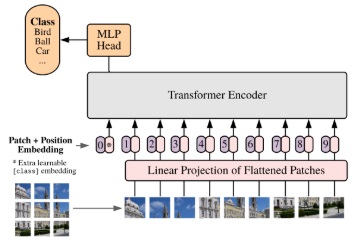 Transformer Models and BERT Model