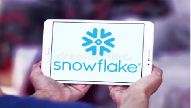 Snowflake 201