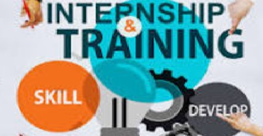 Internship Training