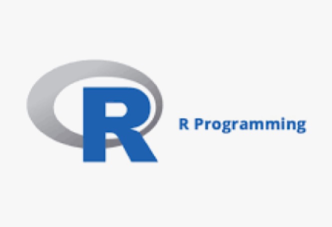 R Programming Language