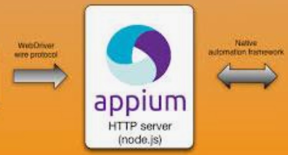 Appium Testing